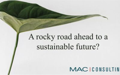 A rocky road ahead to a sustainable future?