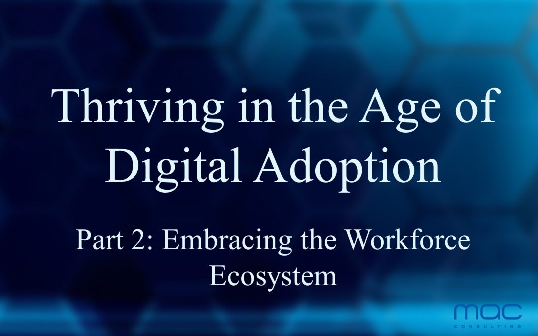 Thriving in the Age of Digital Adoption: Embracing the Workforce Ecosystem (part 2)