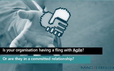 Your Relationship with Agile